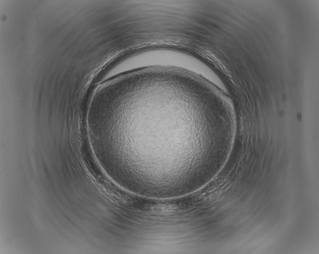 X0000068770444200605191652