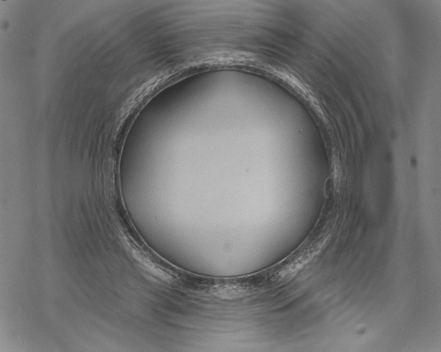 X0000068770445200605191652