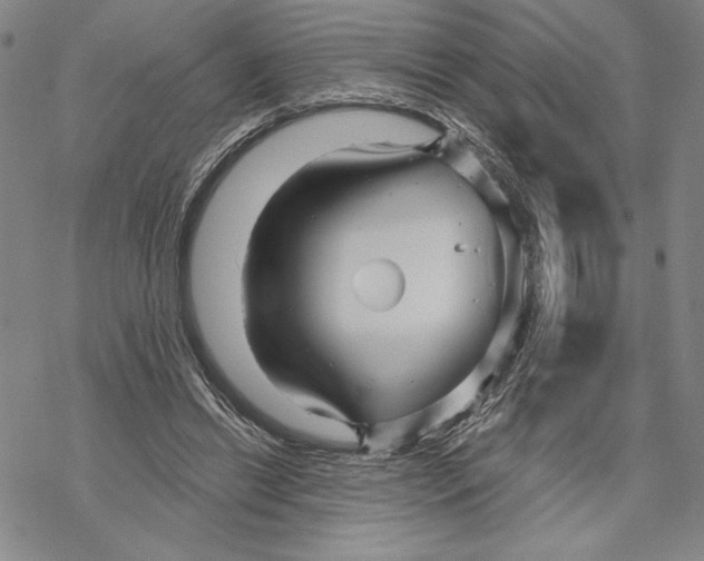 X0000068770446200605191652