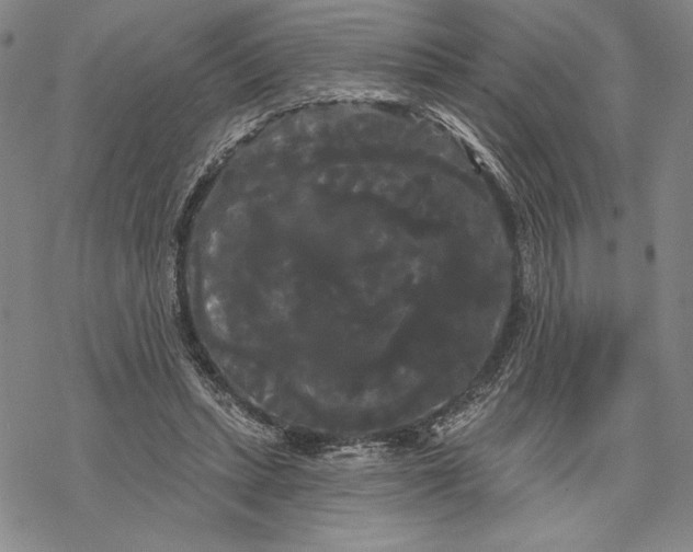 X0000068770447200605191652