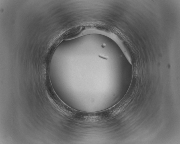 X0000068770448200605191652