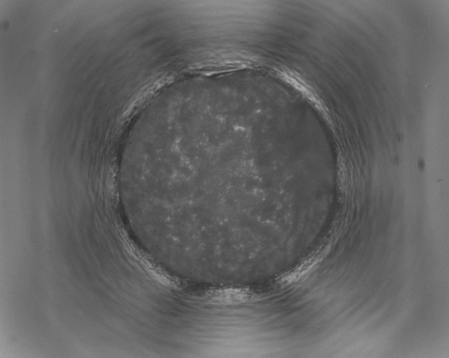 X0000068770449200605191652