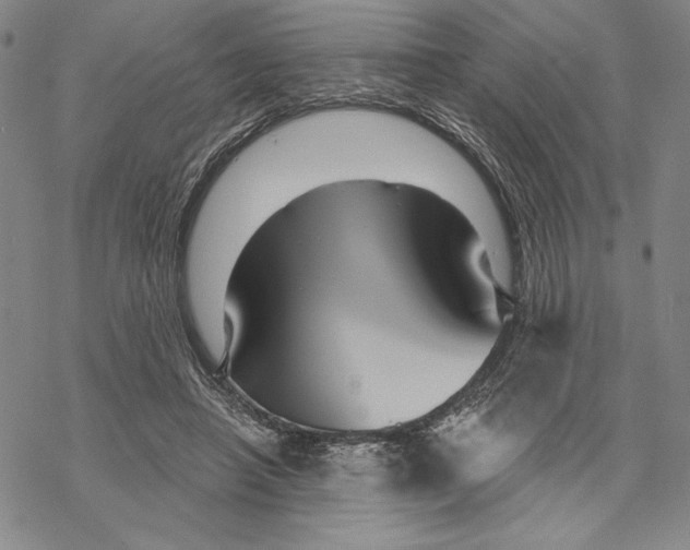 X0000068770450200605191652