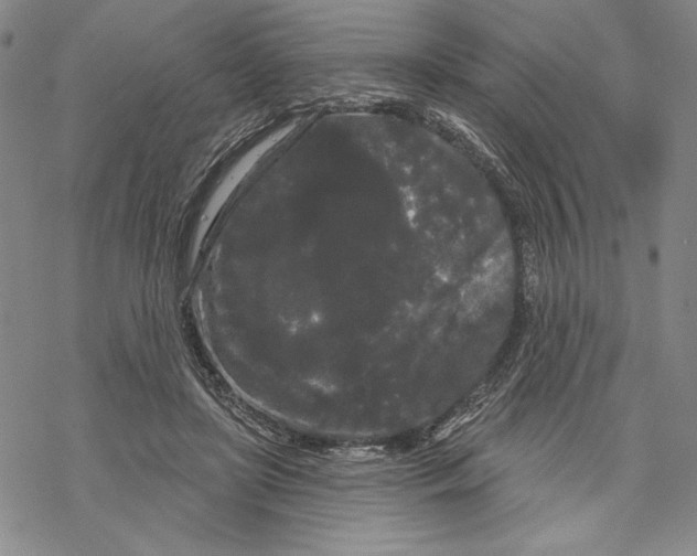 X0000068770451200605191652