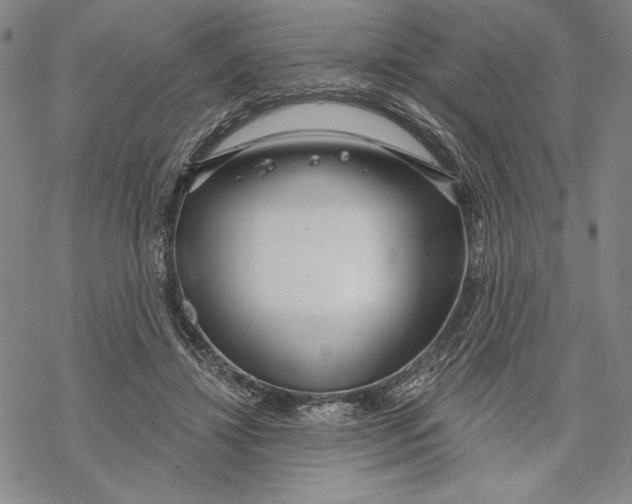 X0000068770452200605191652