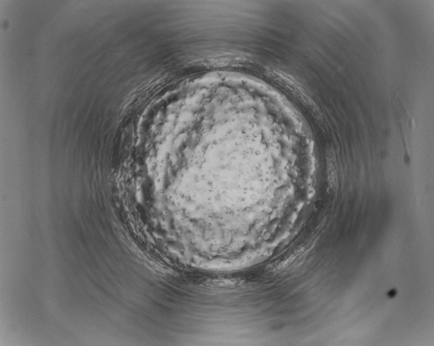 X0000068770453200605191652