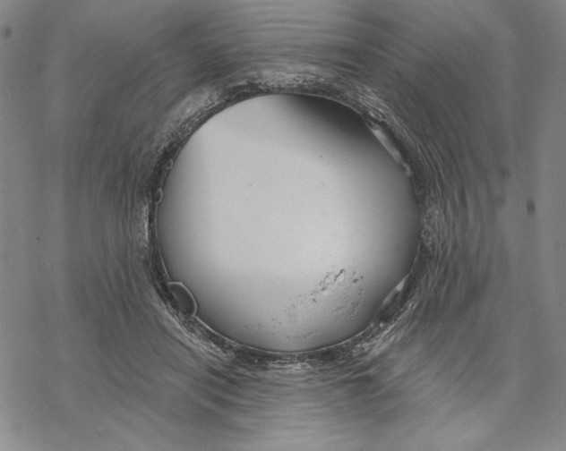 X0000068770454200605191652