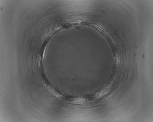 X0000068770458200605191652