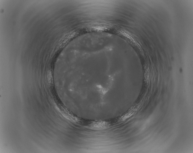 X0000068770459200605191652