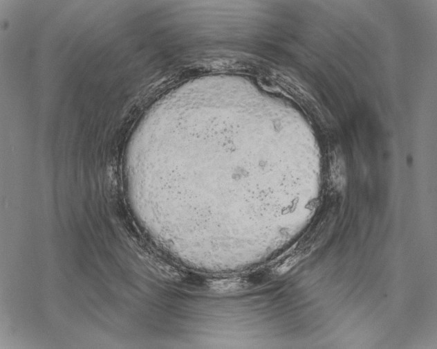 X0000068770461200605191652