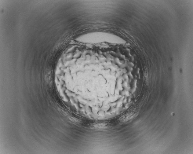 X0000068770462200605191652