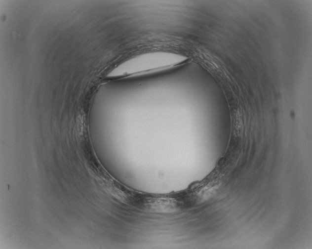 X0000068770463200605191652