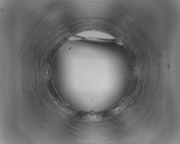 X0000068770464200605191652