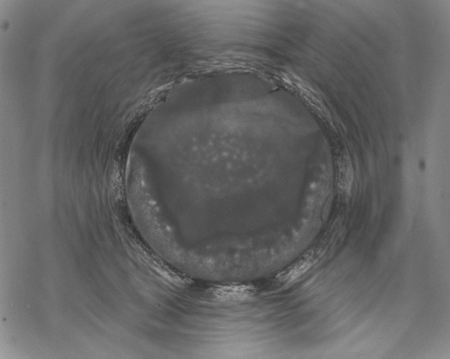 X0000068770465200605191652