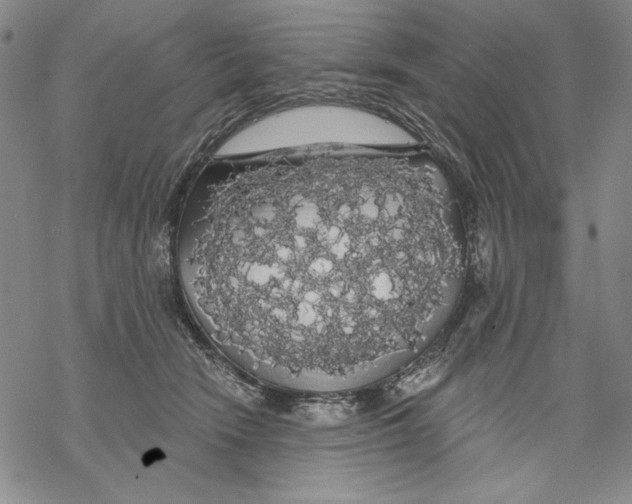 X0000068770466200605191652