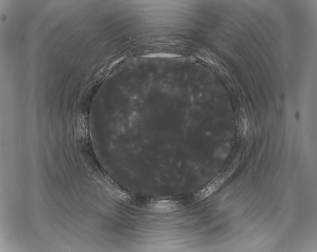 X0000068770467200605191652