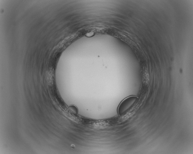 X0000068770468200605191652