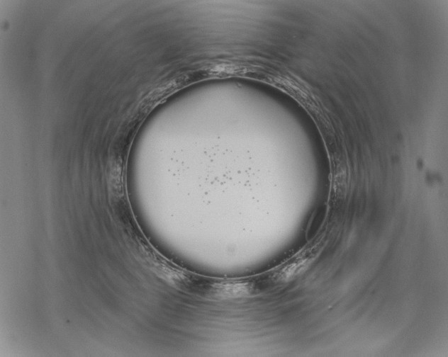 X0000068770469200605191652