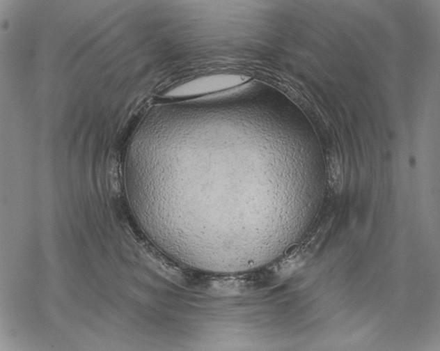 X0000068770470200605191652