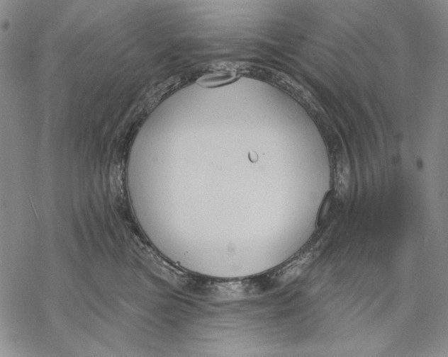 X0000068770473200605191652