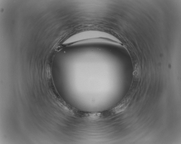 X0000068770474200605191652