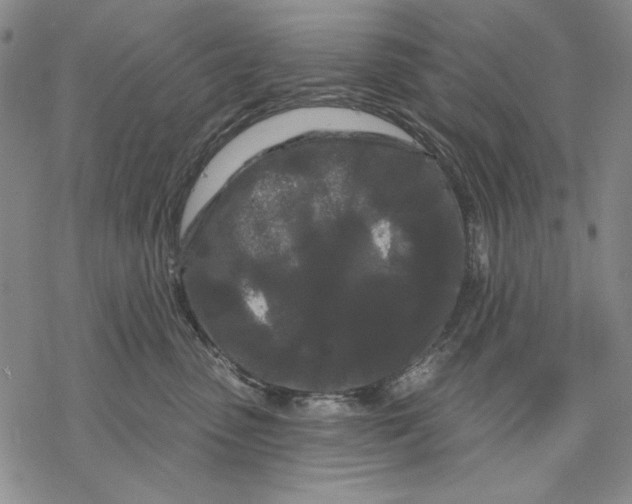 X0000068770475200605191653