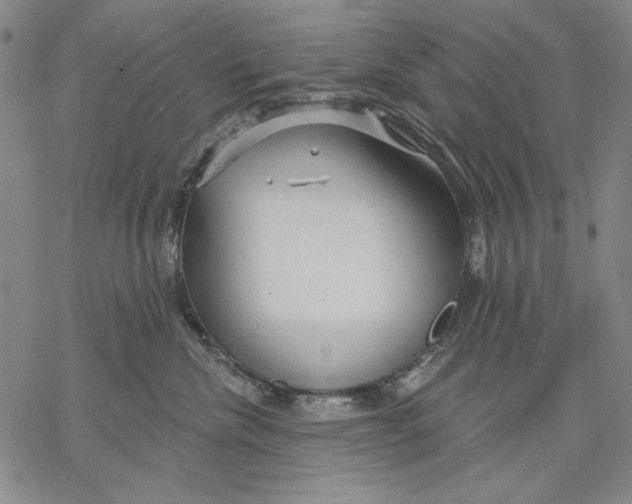 X0000068770476200605191653