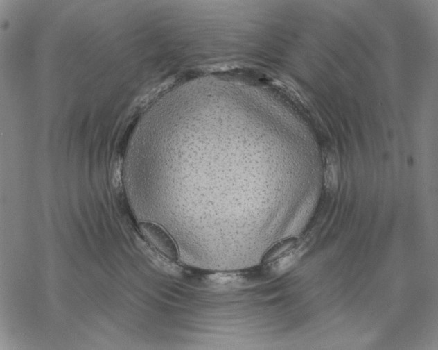 X0000068770477200605191653