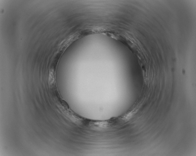 X0000068770478200605191653