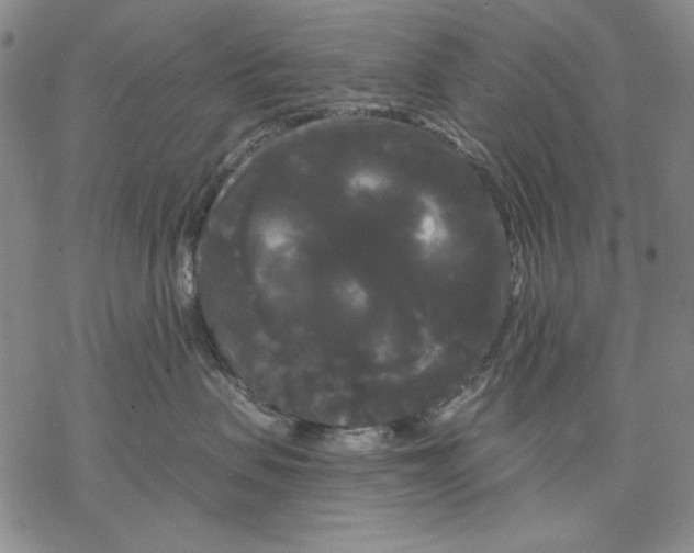 X0000068770479200605191653