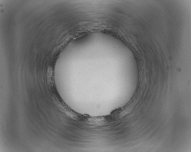 X0000068770480200605191653