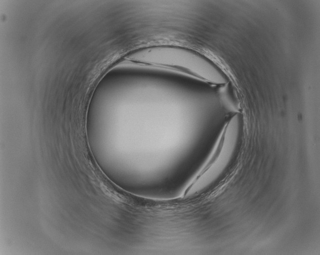 X0000068770481200605191652