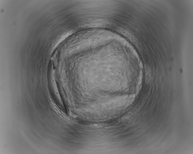 X0000068770482200605191652