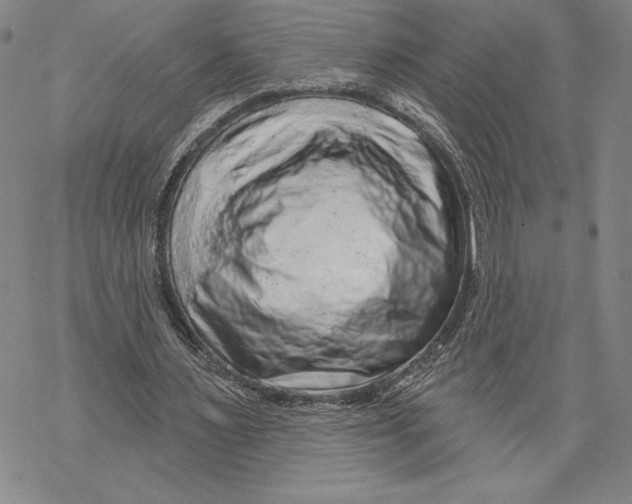 X0000068770483200605191652