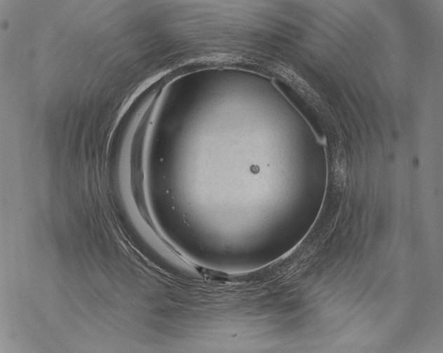 X0000068770484200605191652