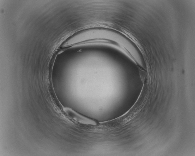 X0000068770485200605191652