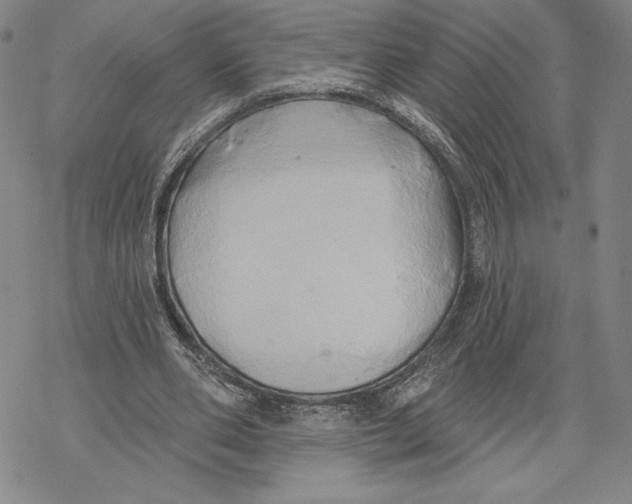 X0000068770486200605191652