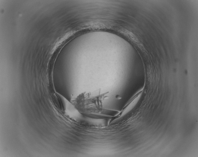 X0000068770488200605191652