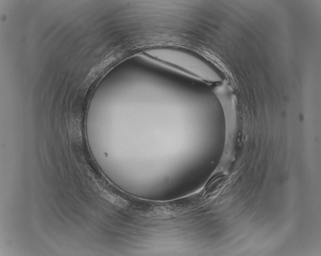 X0000068770489200605191652