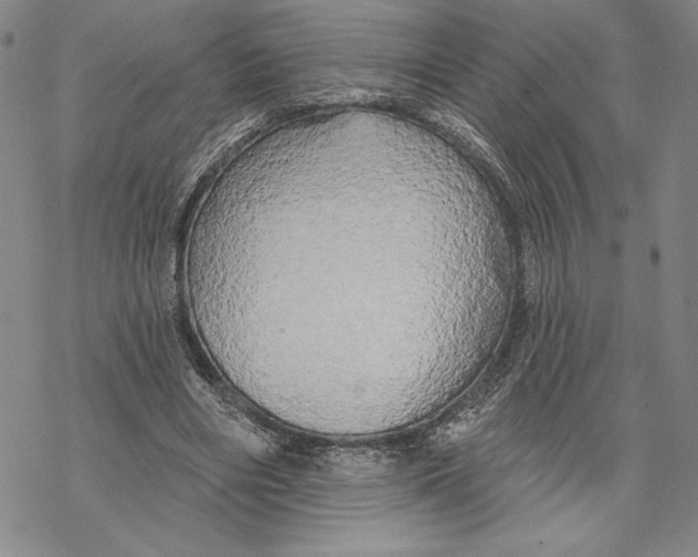 X0000068770490200605191652