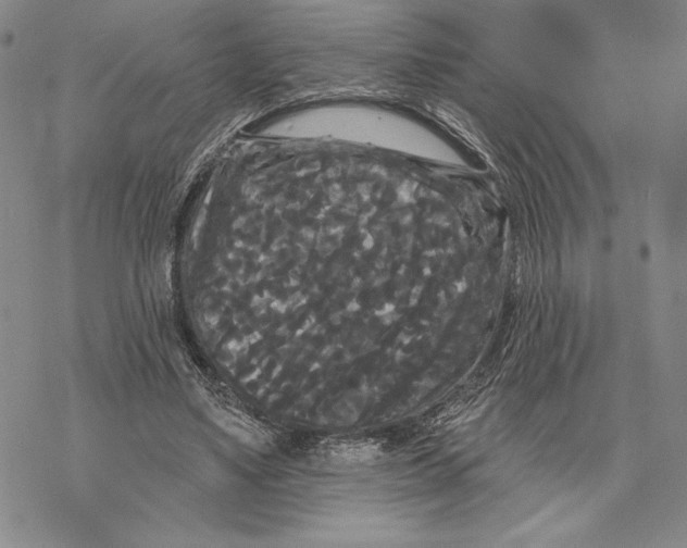 X0000068770491200605191652