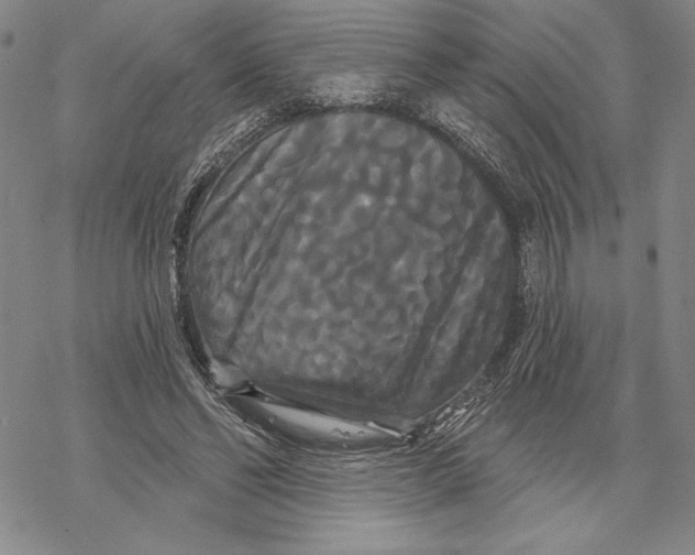 X0000068770494200605191652