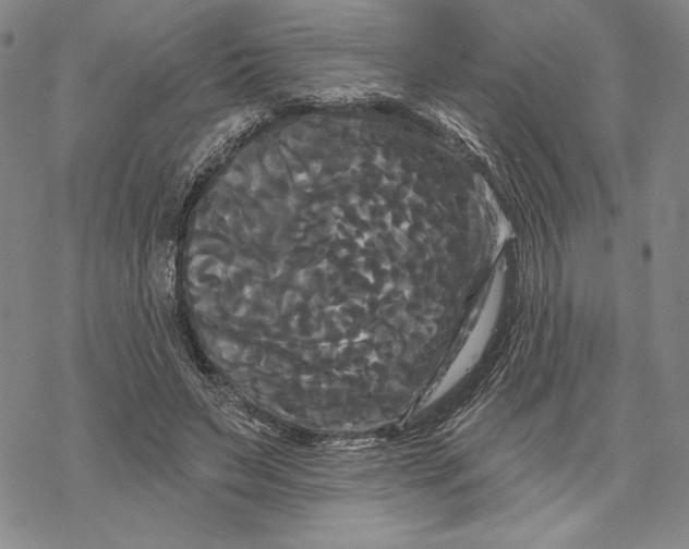 X0000068770495200605191652