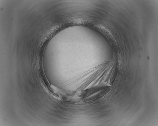 X0000068770496200605191652