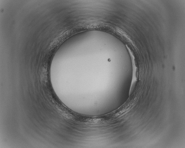 X0000068770497200605191652