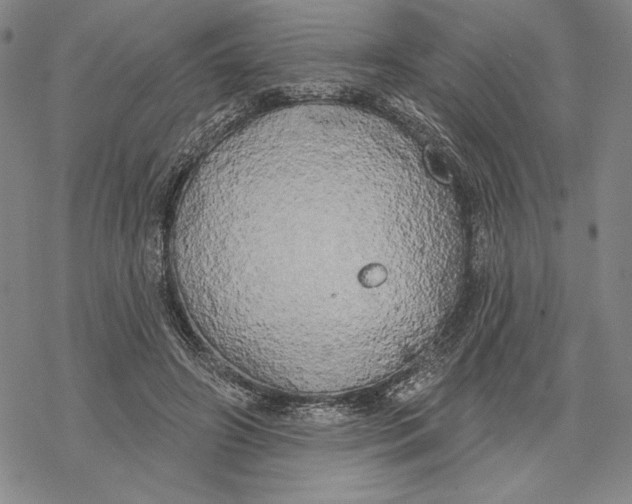 X0000068770498200605191652