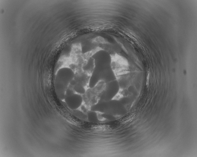 X0000068770499200605191652