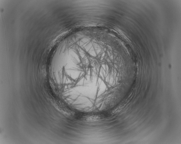 X0000068770500200605191652