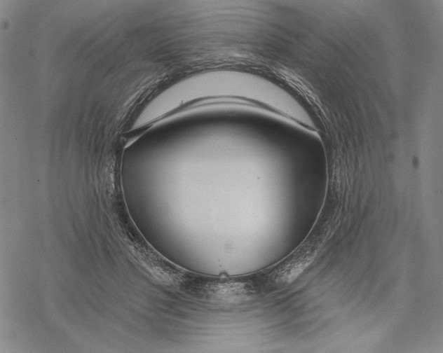 X0000068770501200605191651