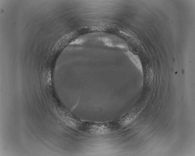 X0000068770502200605191651